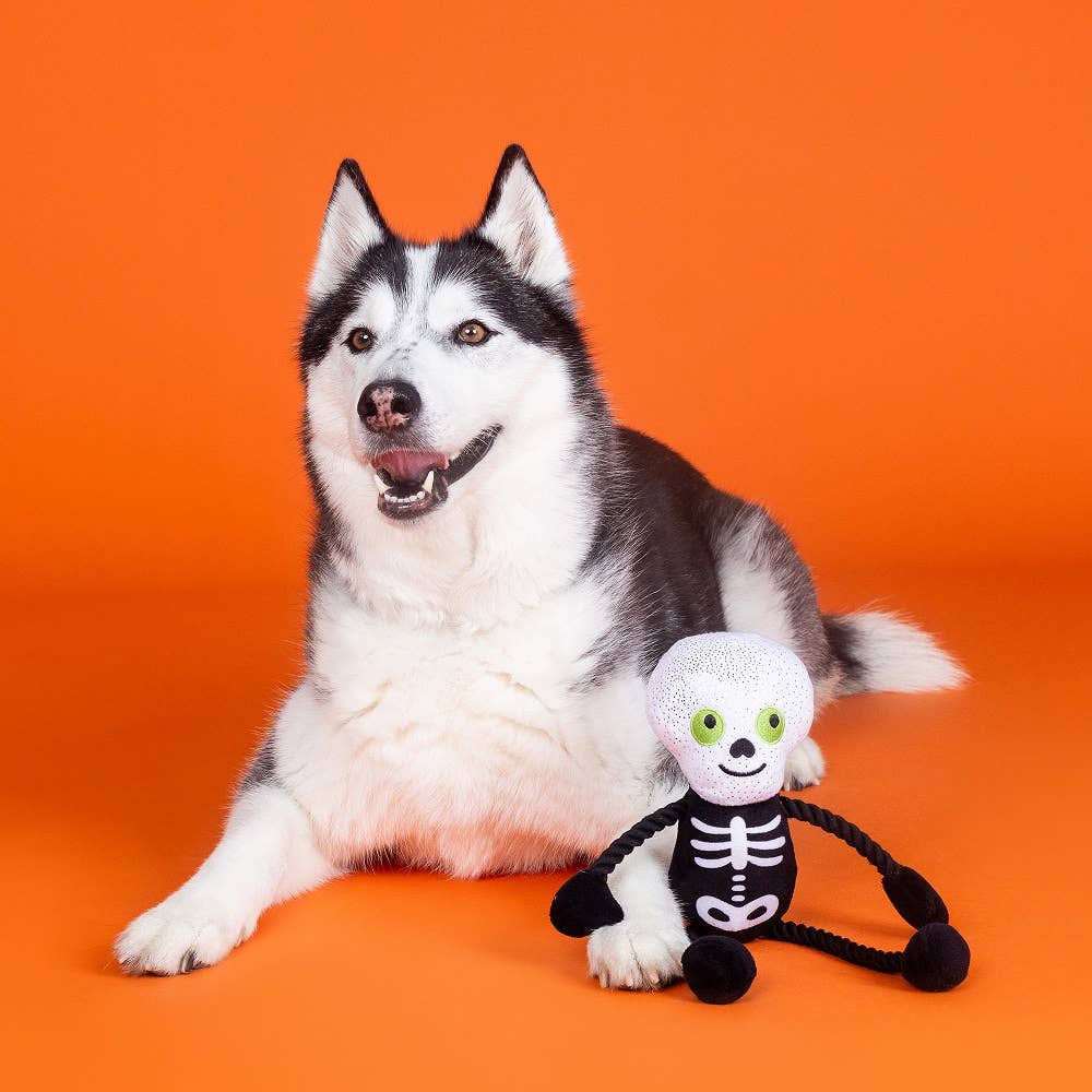 PetShop by Fringe Studio Got A Bone To Pick Plush Dog Toy